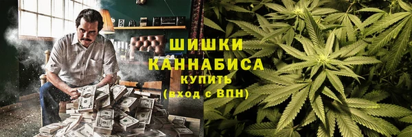 крисы Вязьма