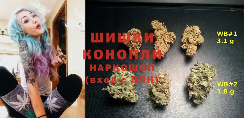 МЕГА маркетплейс  Луховицы  Конопля White Widow 